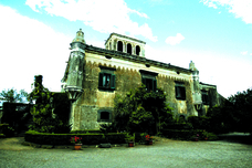 株式会社チコのプレスリリース画像4