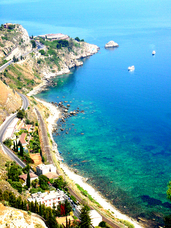 株式会社チコのプレスリリース画像2