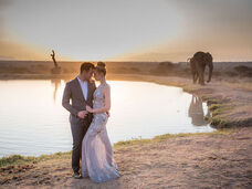 株式会社チコのプレスリリース画像6