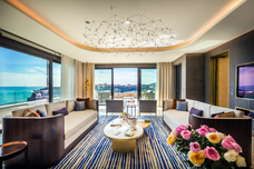 株式会社チコのプレスリリース画像7