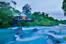 株式会社チコのプレスリリース画像6