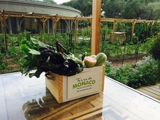 株式会社チコのプレスリリース画像5