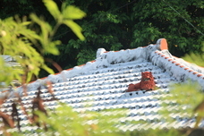 株式会社チコのプレスリリース画像7