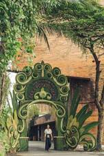 株式会社チコのプレスリリース画像4