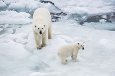 株式会社チコのプレスリリース画像2