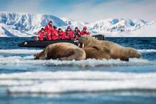 株式会社チコのプレスリリース画像3