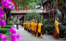 株式会社チコのプレスリリース画像7