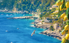 株式会社チコのプレスリリース画像9