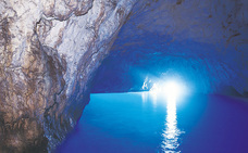 株式会社チコのプレスリリース画像1