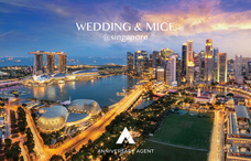 株式会社チコのプレスリリース画像1