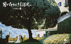 株式会社チコのプレスリリース画像6