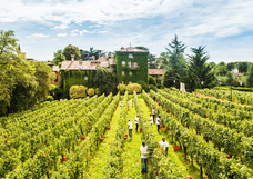 株式会社チコのプレスリリース画像2