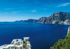 株式会社チコのプレスリリース画像5