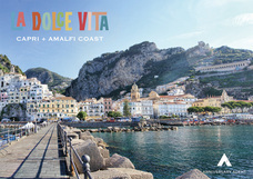 株式会社チコのプレスリリース画像2