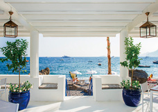 株式会社チコのプレスリリース画像9