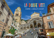 株式会社チコのプレスリリース画像3