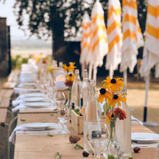 株式会社チコのプレスリリース画像3