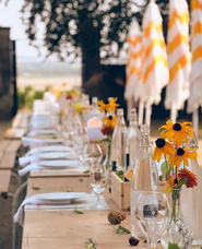 株式会社チコのプレスリリース画像6