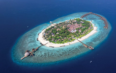 株式会社チコのプレスリリース画像8