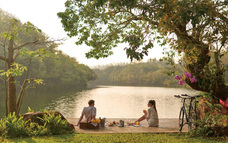 株式会社チコのプレスリリース画像7