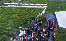 株式会社チコのプレスリリース画像8