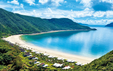 株式会社チコのプレスリリース画像5