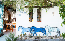 株式会社チコのプレスリリース画像9