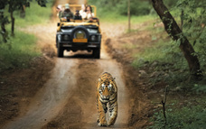 株式会社チコのプレスリリース画像10