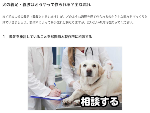 犬や猫 動物 の義足 義肢 車椅子の情報サイト 動物義足ナビ リリースのお知らせ 株式会社サイトクリエーションのプレスリリース 犬や猫 動物 の義足 義肢 車椅子の情報サイト 動物義足ナビ リリースのお知らせ 株式会社サイトクリエーションのプレスリリース