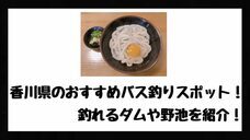 株式会社サイトクリエーションのプレスリリース画像4