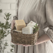 株式会社ママフォレストのプレスリリース画像4