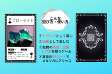 株式会社CEOキッズアカデミーのプレスリリース画像3