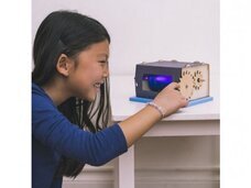 株式会社CEOキッズアカデミーのプレスリリース画像2