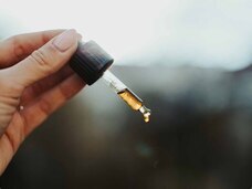 Nordic Oil 株式会社のプレスリリース画像8