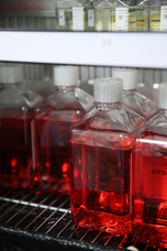 医療法人社団豊饒会のプレスリリース画像6