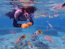 有限会社 ブルーランクのプレスリリース画像1