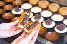 株式会社ラグーンインターナショナルのプレスリリース画像7