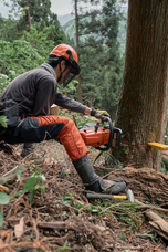 株式会社ＣＩＮＱのプレスリリース画像5