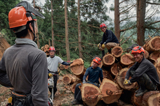 株式会社ＣＩＮＱのプレスリリース画像2