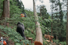 株式会社ＣＩＮＱのプレスリリース画像4