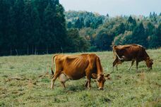 合同会社ラクラルテのプレスリリース画像9