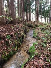 山之村牧場株式会社のプレスリリース画像2