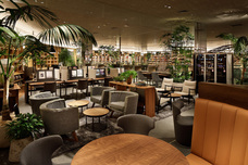 株式会社DFA Roboticsのプレスリリース画像4