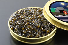 株式会社ESTURIONのプレスリリース画像4