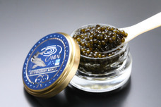 株式会社ESTURIONのプレスリリース画像2