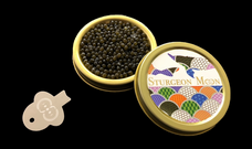 株式会社ESTURIONのプレスリリース画像1