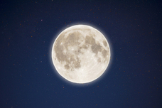 株式会社ESTURIONのプレスリリース画像3