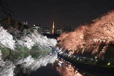 株式会社TARAのプレスリリース画像1