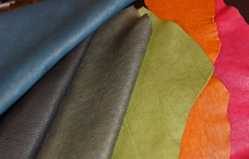 フリームジャパン株式会社のプレスリリース画像2