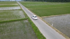 SUGI WORKのプレスリリース画像4